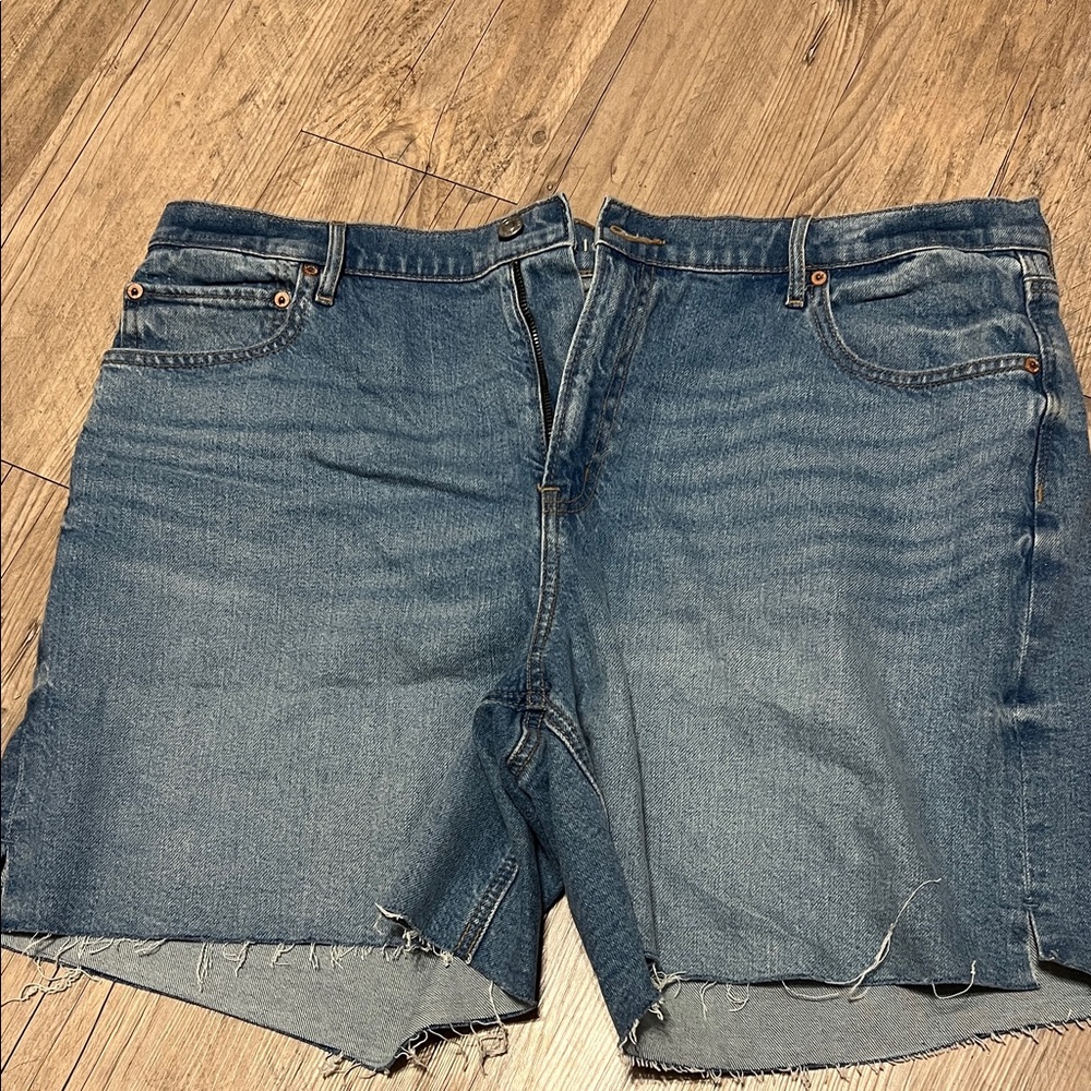 American Eagle Outfitters Light Blue Denim Shorts